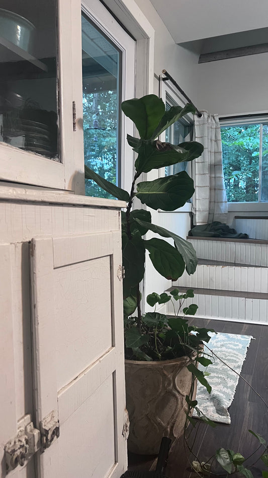 Minimalist Decor Tips for Homes that are Small