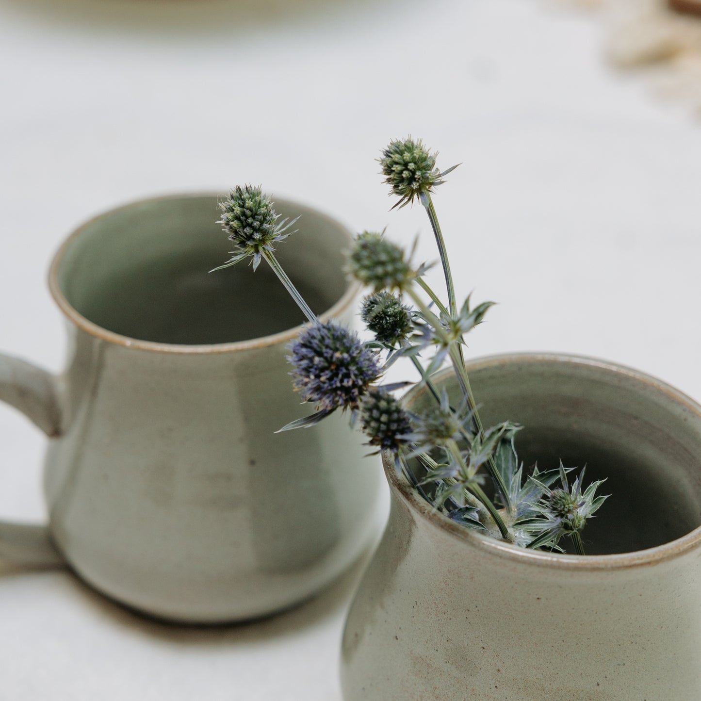 Pottery Mug, Sage and Eucalyptus
