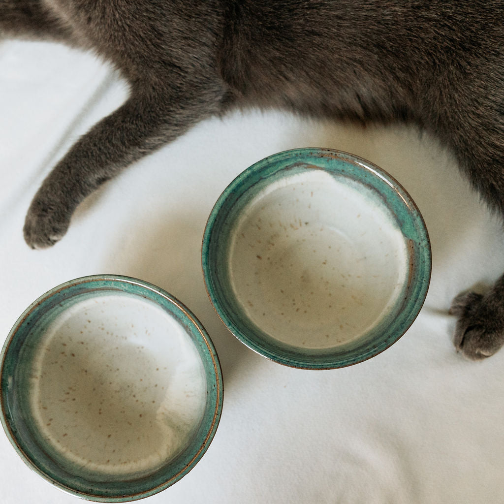 Speckled Mint and Cream